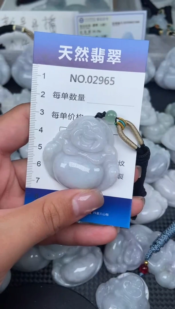 颈饰未镶嵌翡翠纯天然A货翡翠2965