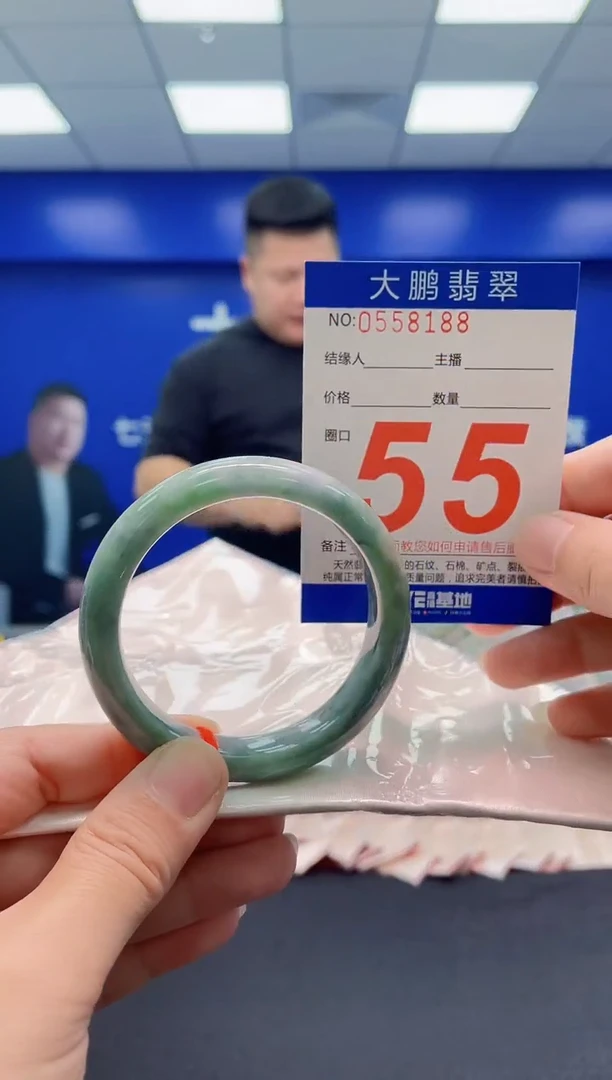 未镶嵌手镯翡翠AAAAAAAAA