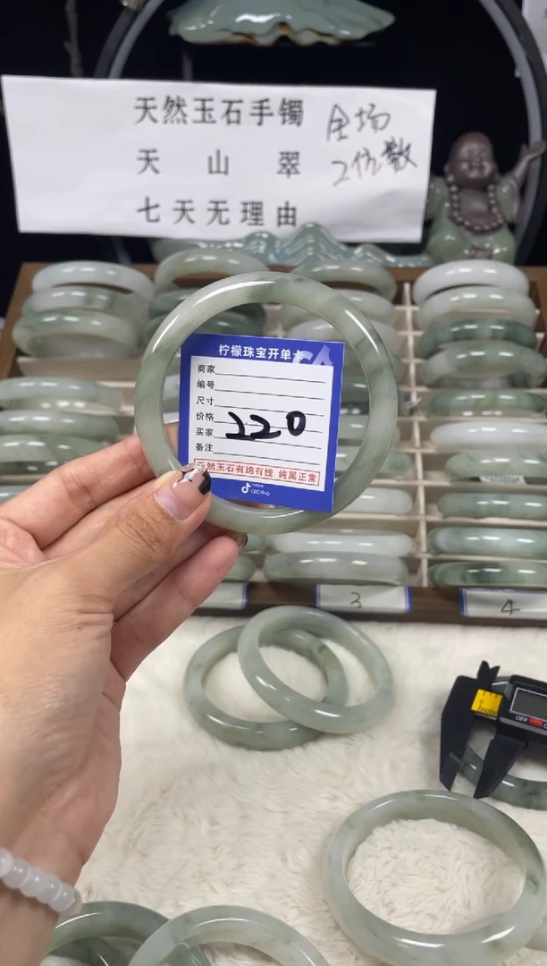 石英质玉（天山翠）手镯未镶嵌220