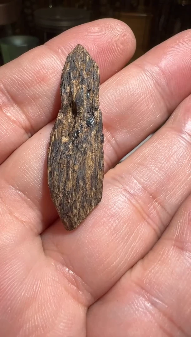 沉香沉香碎屑文莱1.7克