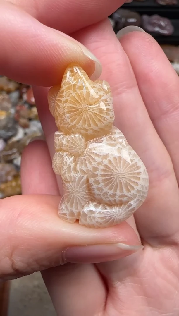 颈饰未镶嵌硅化珊瑚（珊瑚玉）393