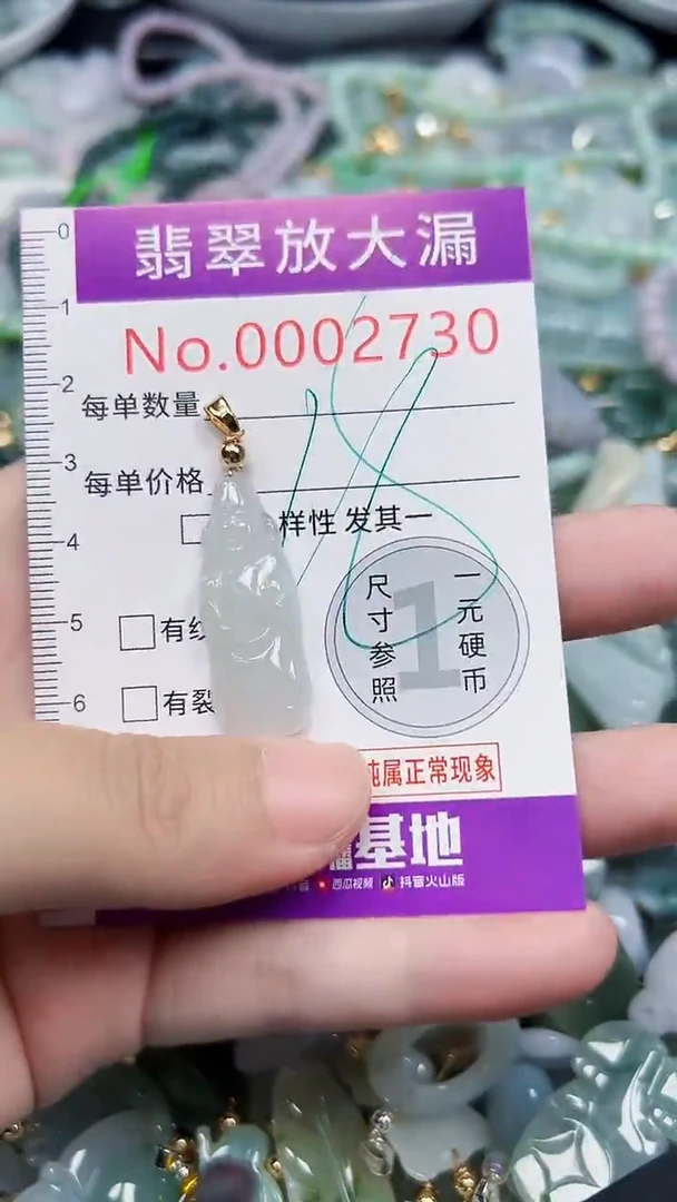 颈饰未镶嵌翡翠2730