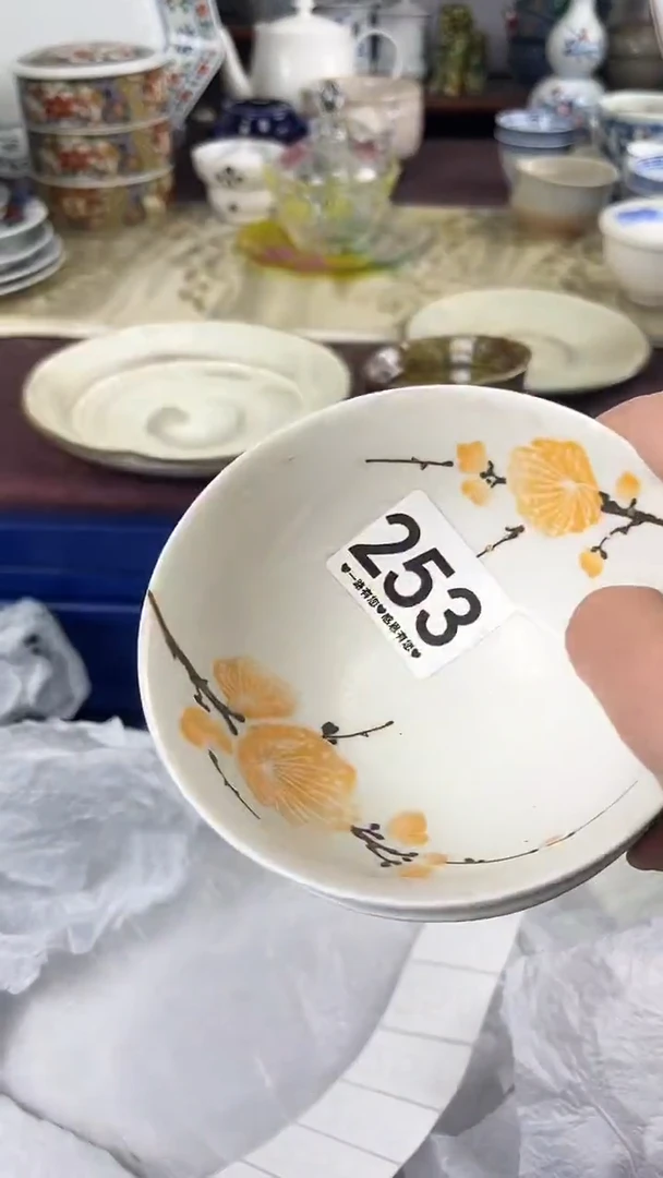 K*N253