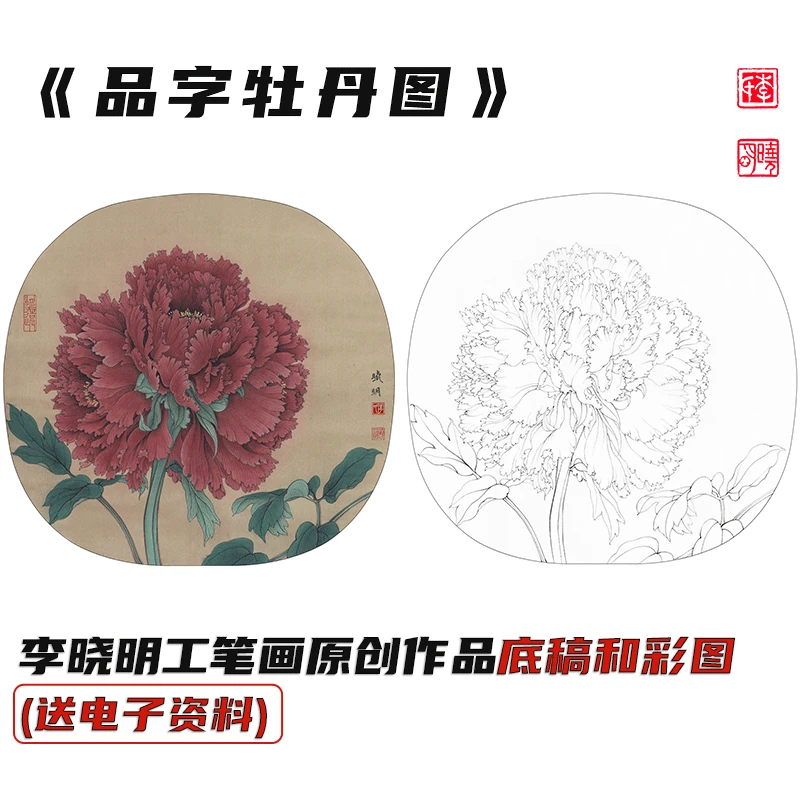 李晓明工笔画《品字牡丹图》底稿和彩图（送电子步骤图和教程）
