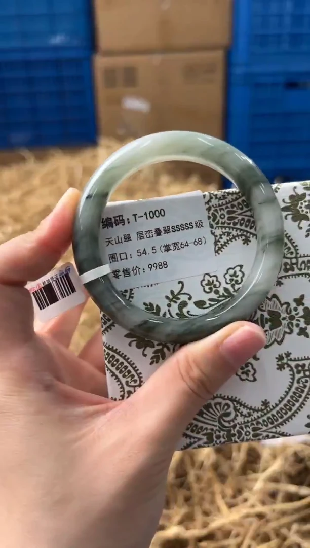 未镶嵌手镯石英质玉T-1000