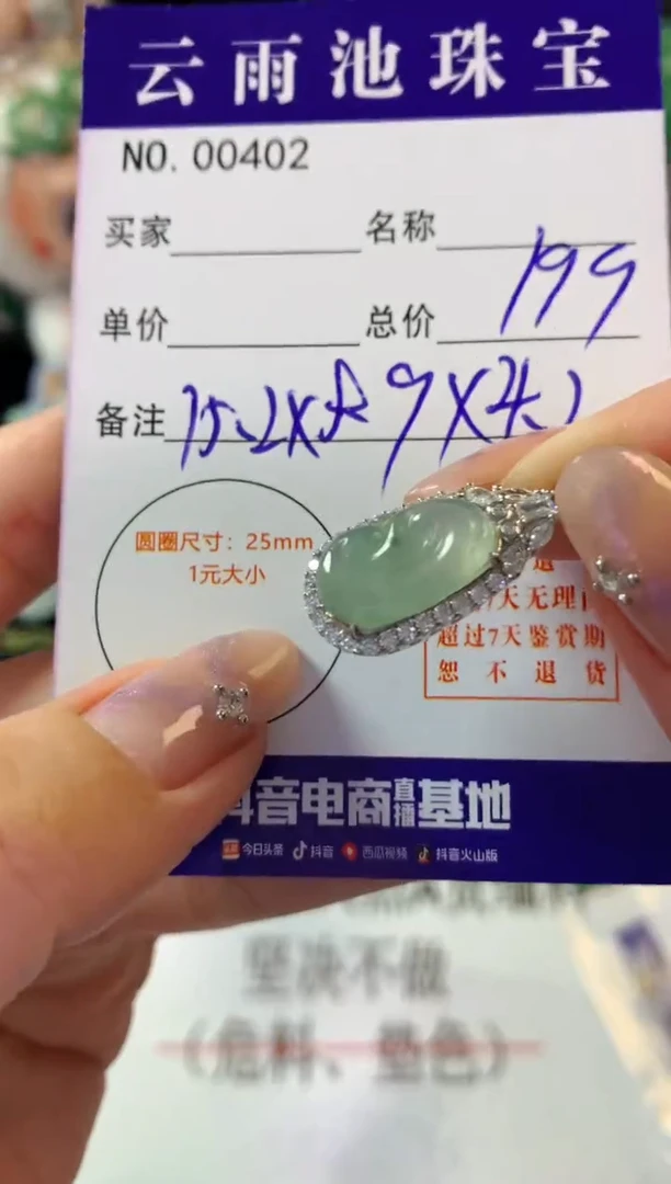 翡翠银S925镶嵌颈饰翡翠