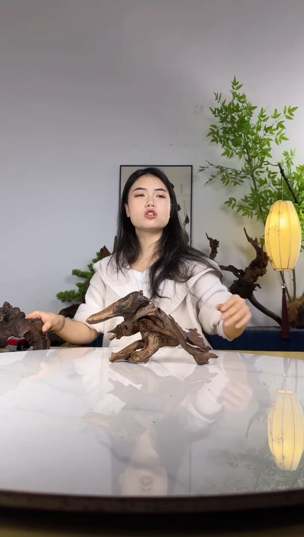 ?**凹拍沉木定向链接编号22