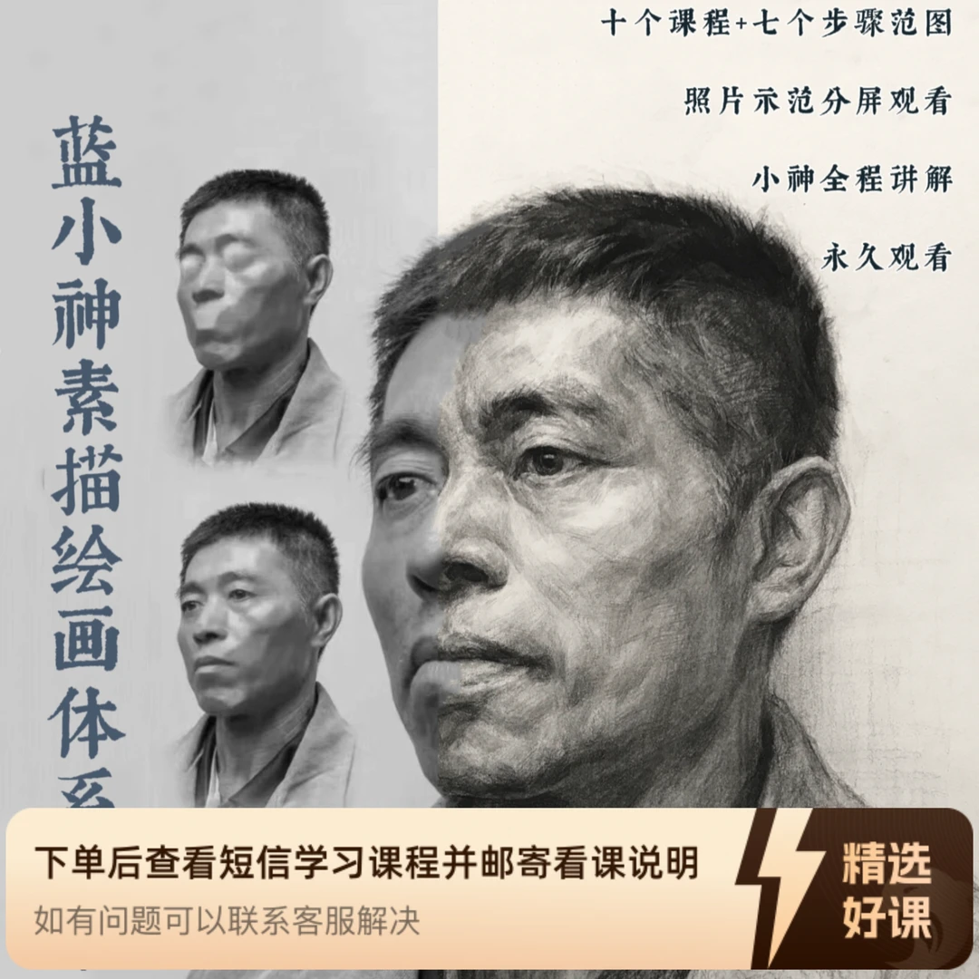 蓝小神素描体系-素描头像精讲（留意短信解锁课程）