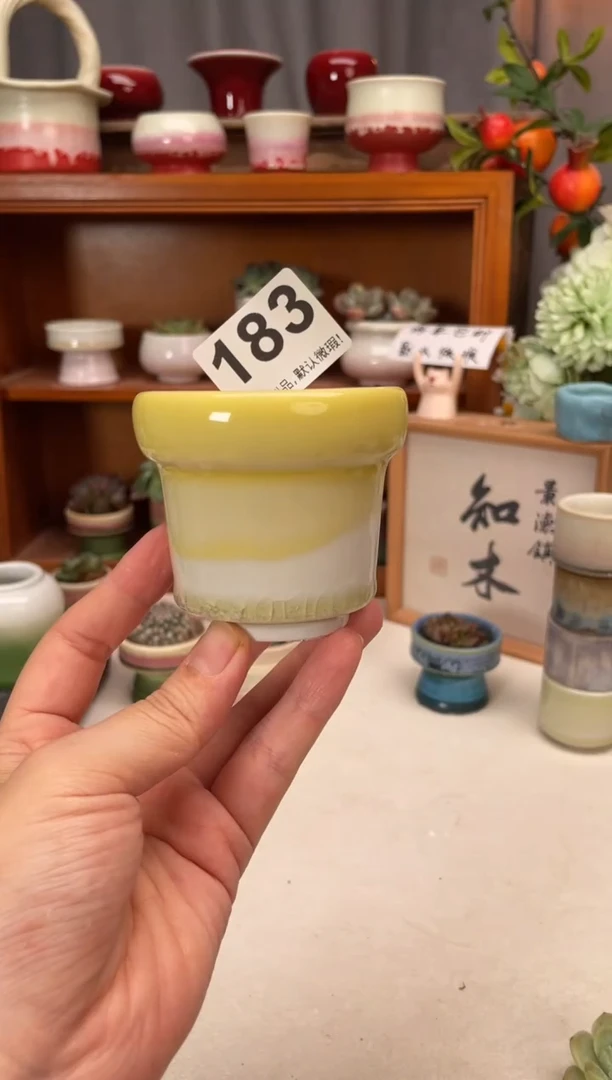 瓷片183知木小芳花盆