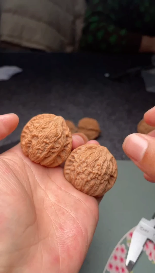 把件文玩核桃a307    泥鳅背   40尺