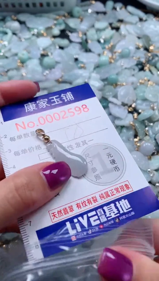 颈饰未镶嵌翡翠2598
