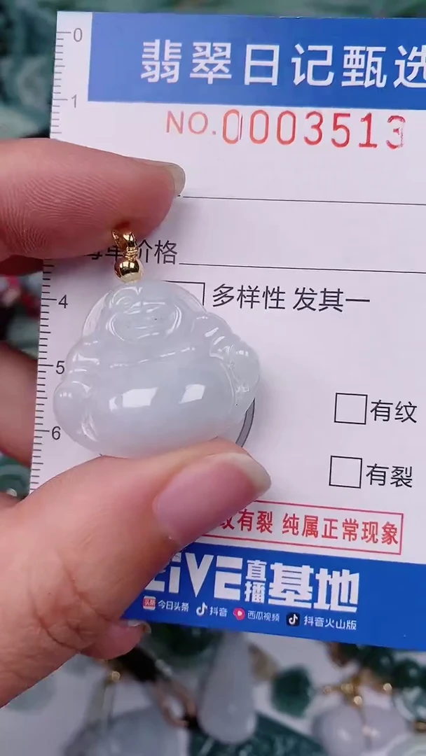 【闪购商品】翡翠颈饰未镶嵌00003513