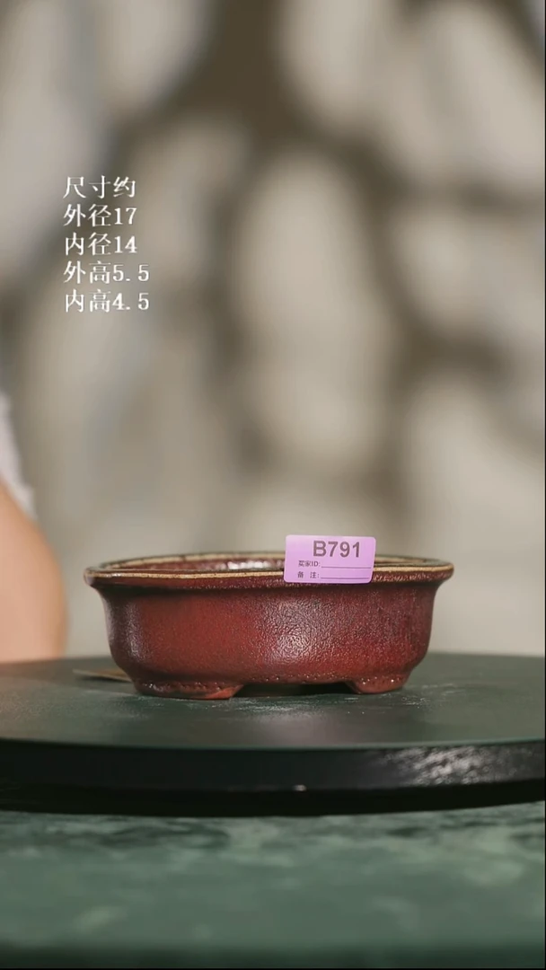 6.5寸椭圆盆 印制款791