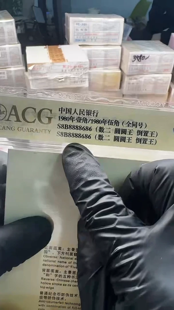 塑料五个八686