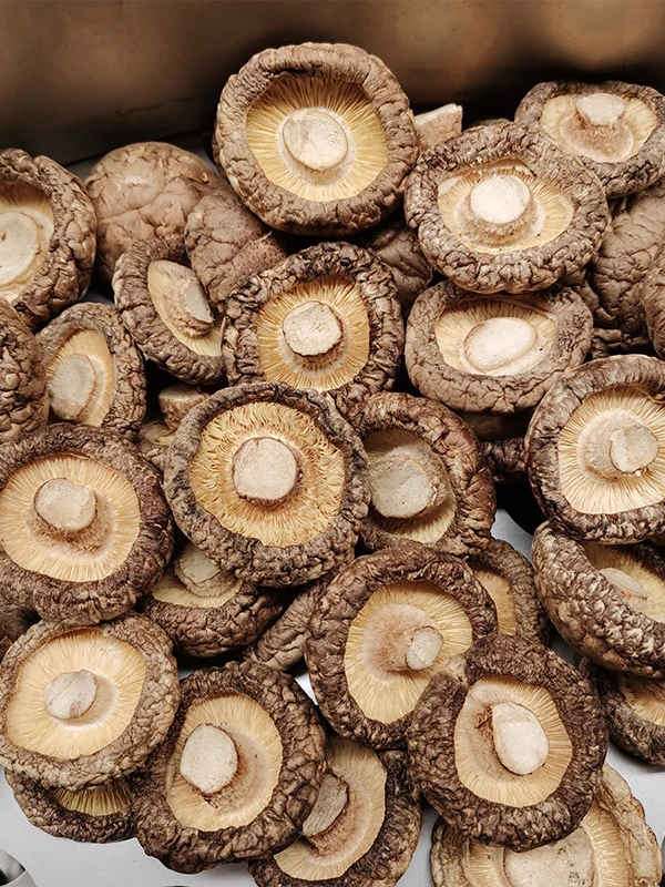高品质(湖北随州小干香菇)优质精选干货品质干香圆润厚实菌菇当季