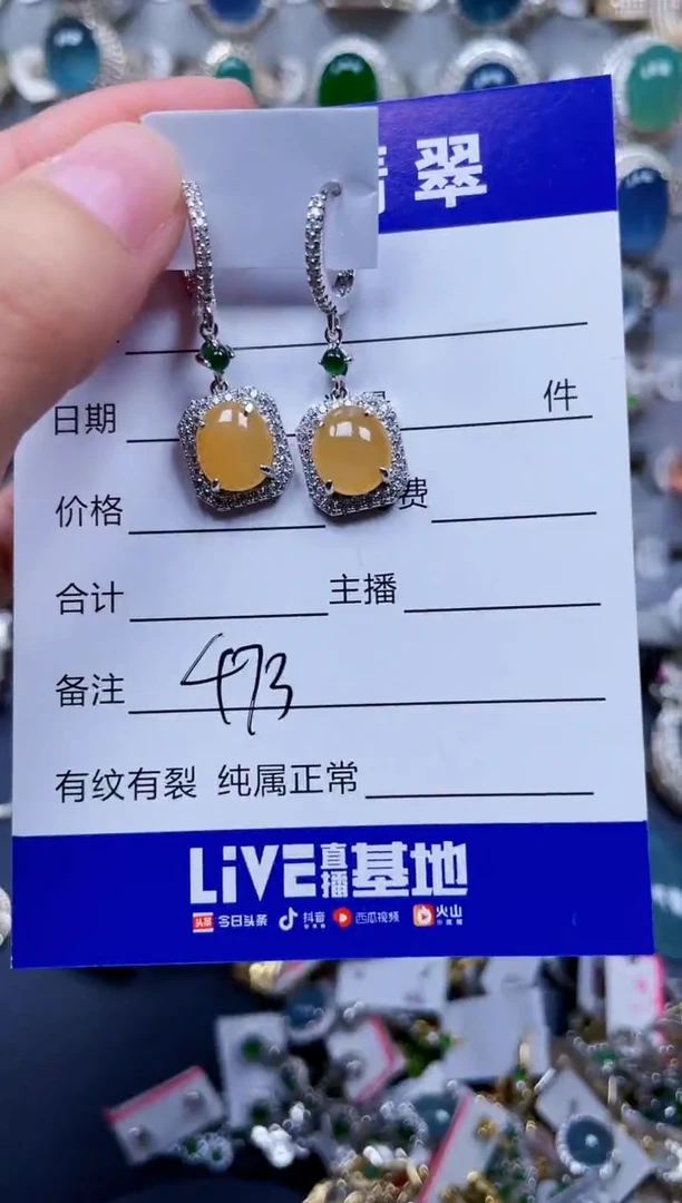 银S925镶嵌翡翠耳饰473