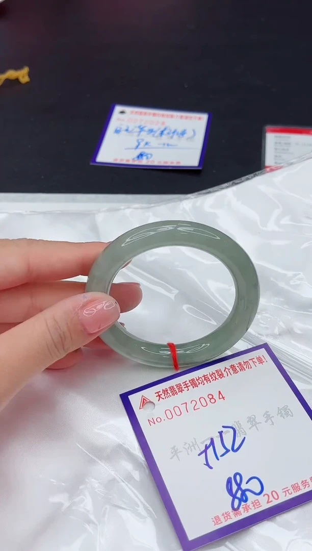 未镶嵌手镯翡翠11111