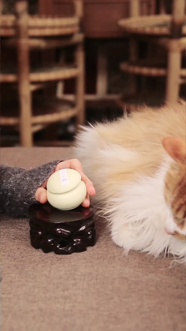 合香古早窖藏版禅悦香饼9g