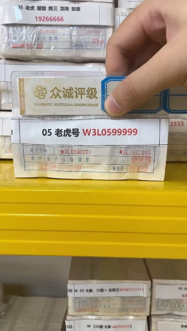 M 05 老虎号 W3L0599999