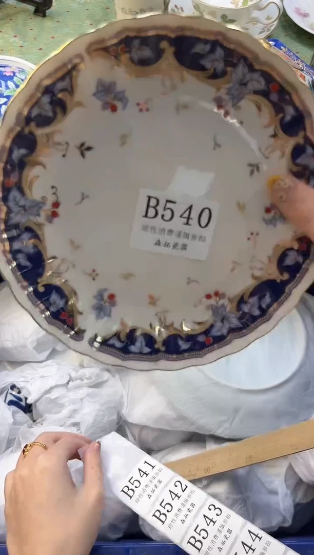 【闪购商品】瓷片          B540
