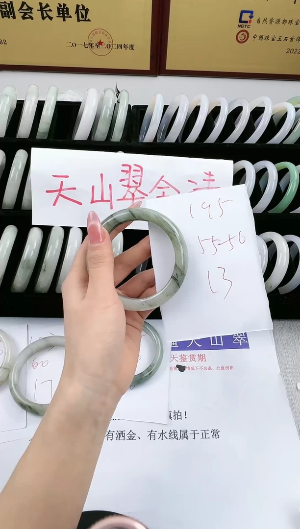 未镶嵌手镯石英质玉195