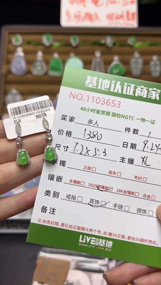 银S925镶嵌翡翠耳饰多人