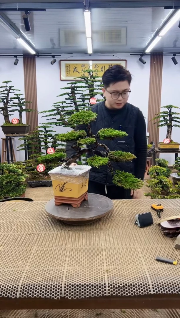 【闪购商品】一物一拍，所见即所得