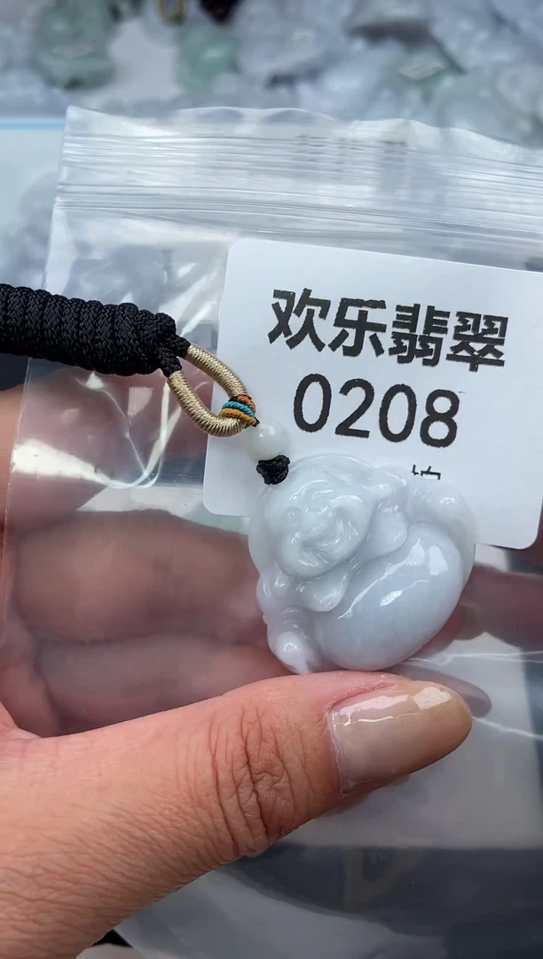 颈饰未镶嵌翡翠缅甸天然翡翠0208