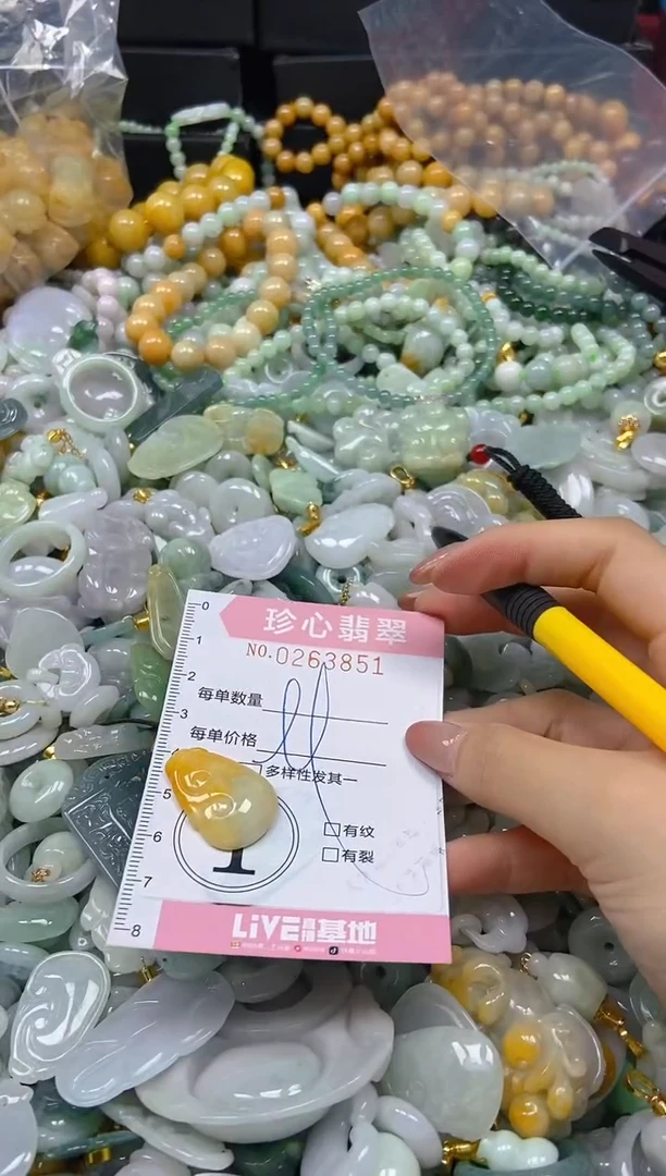 翡翠未镶嵌颈饰闪购0263851