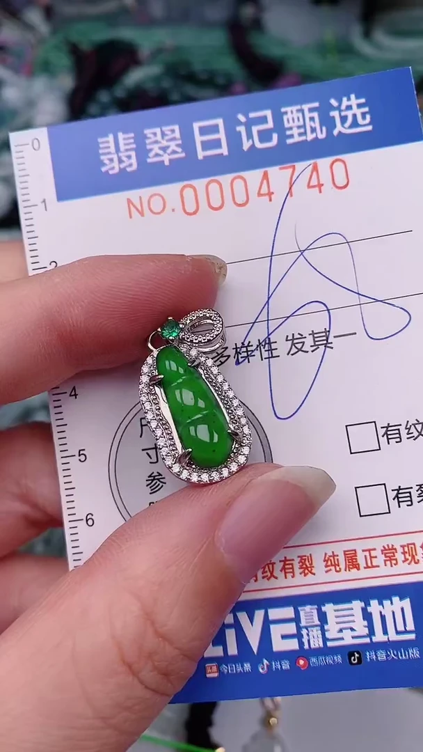 翡翠未镶嵌颈饰00004740
