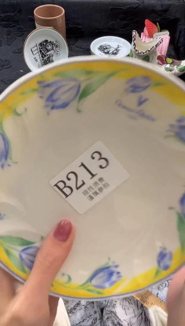 瓷片?****️       B213