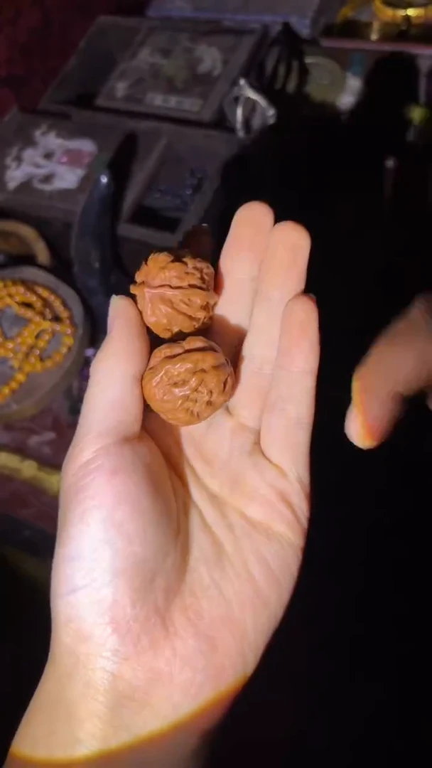琪琪姐专属专属专属