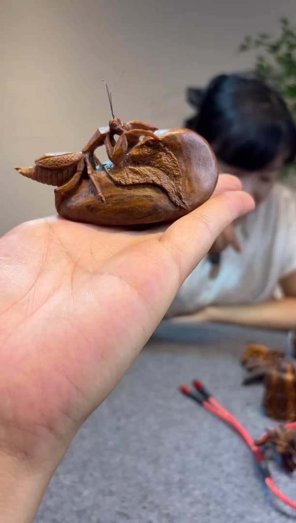 贡木贡木贡木贡木