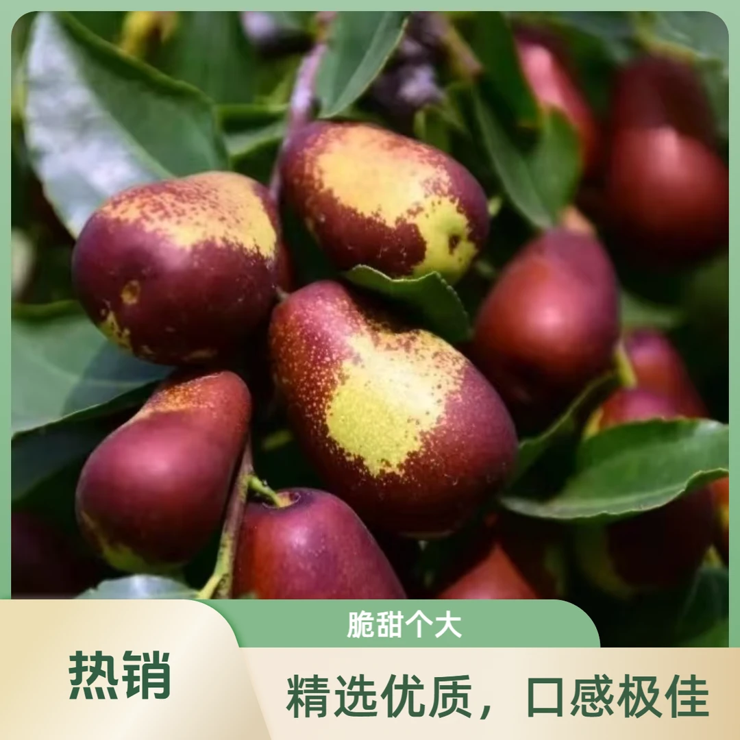 壶瓶枣，大果，两斤【火爆热卖】
