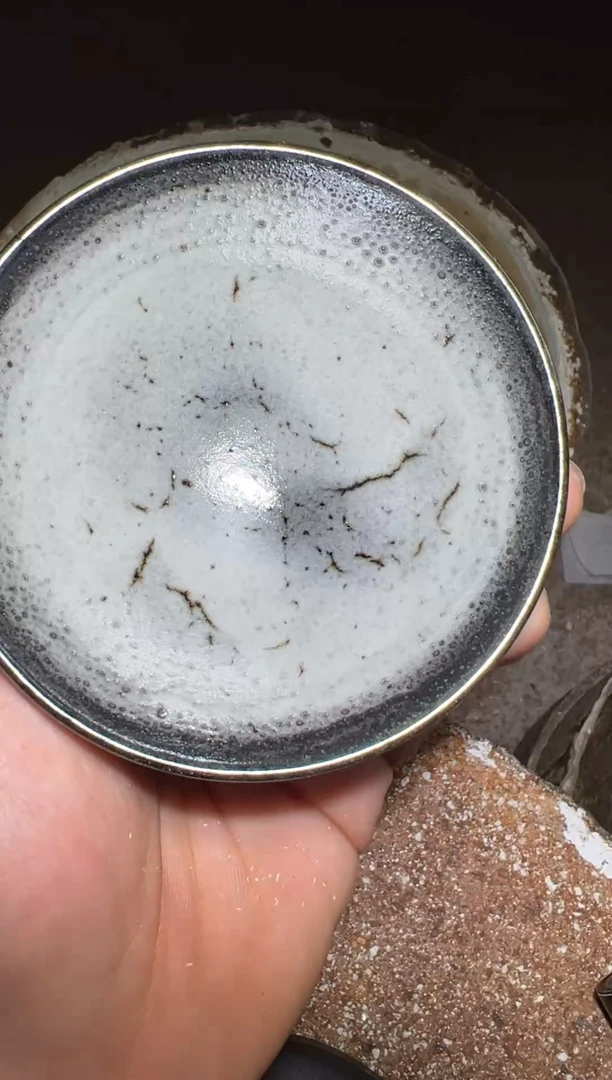 【闪购商品】茶盏老表精选柴烧63