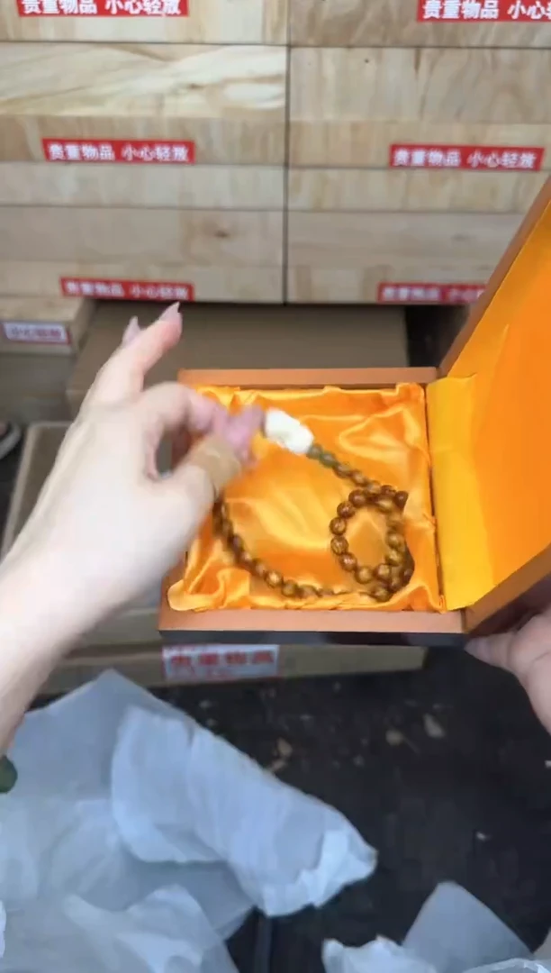 金丝海柳双圈@@sp366