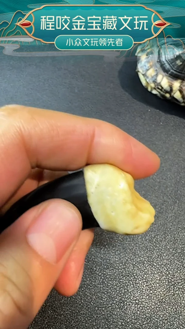 非金属无主播推荐