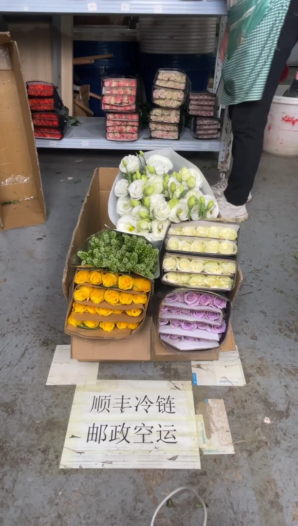 金枝1扎+紫霞1扎+骄傲1扎+白桔梗800克+绿林草
