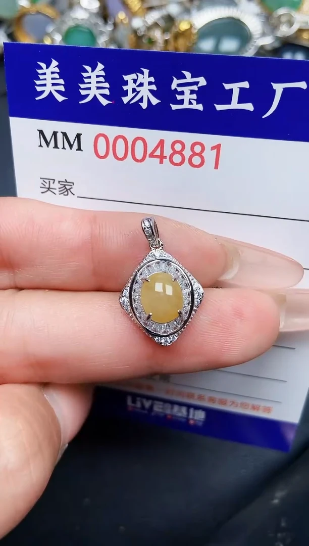 【闪购商品】翡翠颈饰银S925镶嵌4881