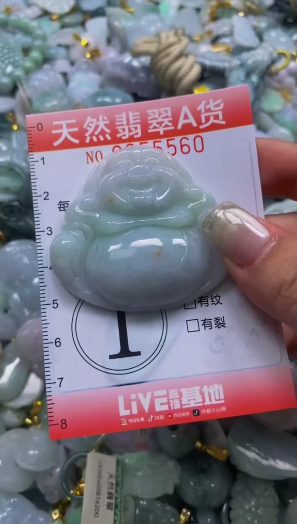 翡翠未镶嵌颈饰闪购0055560