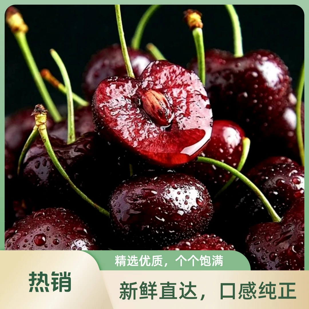 （威宁小时达）智利进口10斤XLD新鲜脆甜车厘子