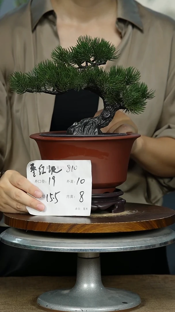 紫砂花盆810+S 紫砂花盆紫砂
