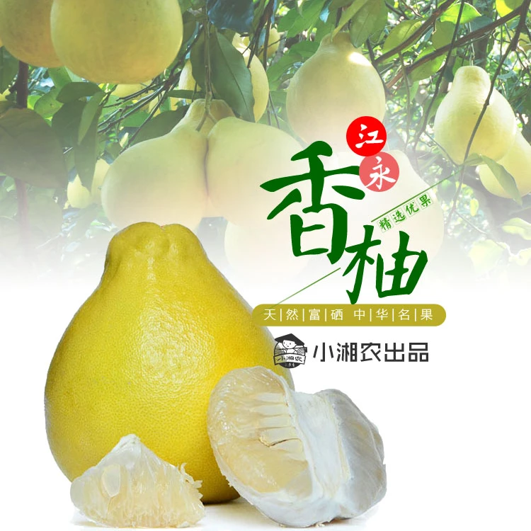 正宗江永香柚精选高山老树纯甜沙田柚江永特产直播粉丝福利20斤装