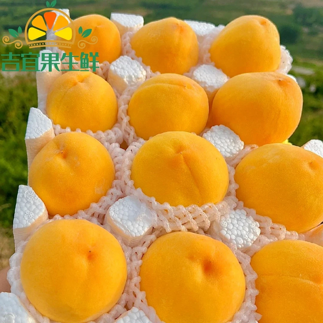 山东蒙阴黄桃当季热卖桃子新鲜水果黄金密毛桃水蜜桃大果锦绣黄桃