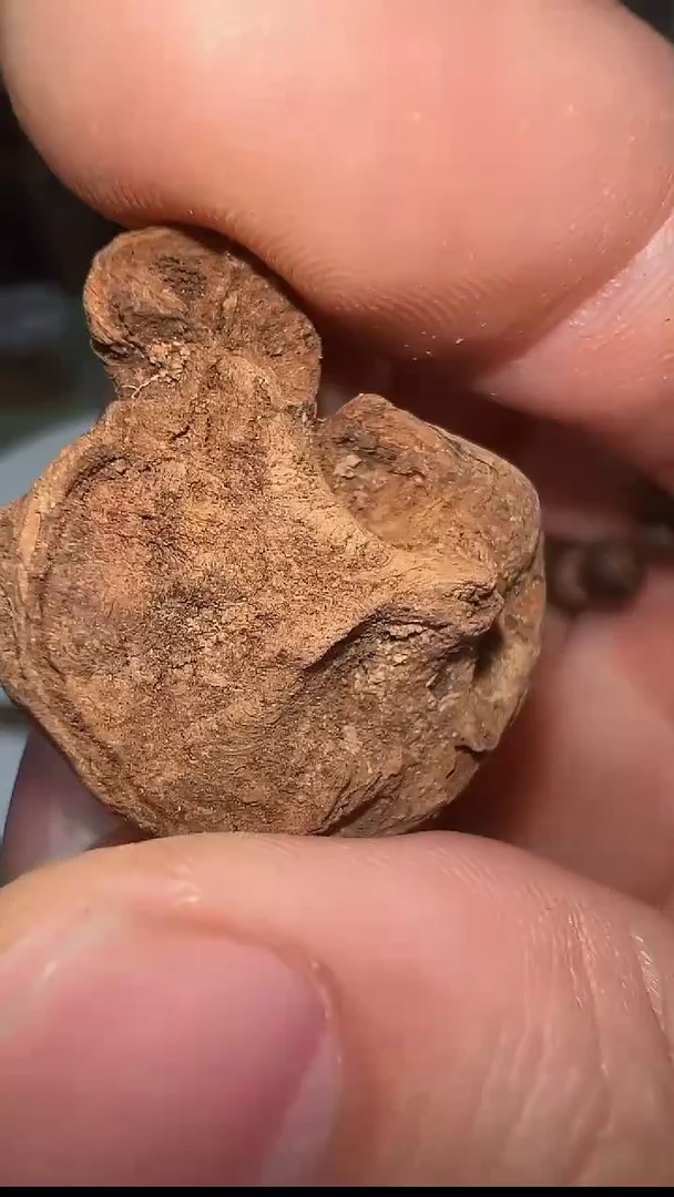 【闪购商品】沉香3g越南富森红土块料