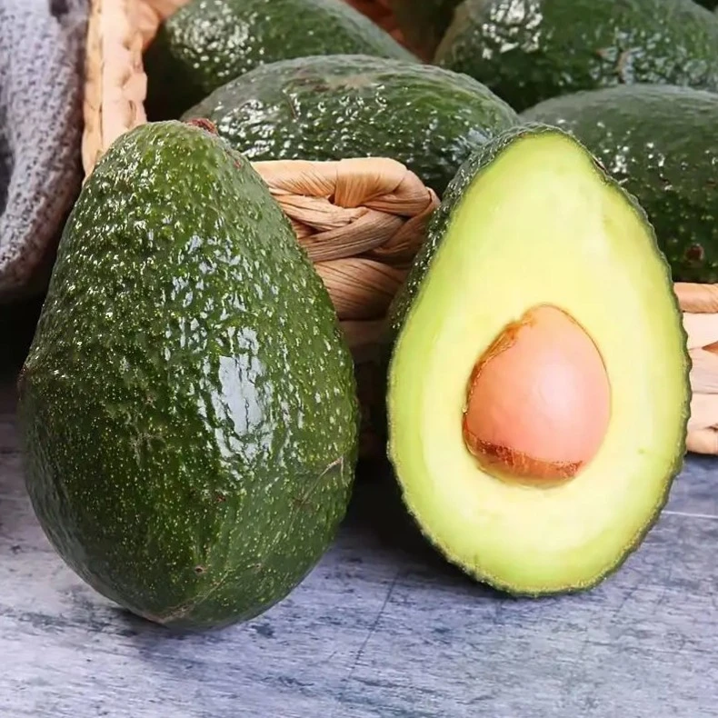 【催熟后食用】云南牛油果6枚装新鲜应季水果多仓发货【ZY】