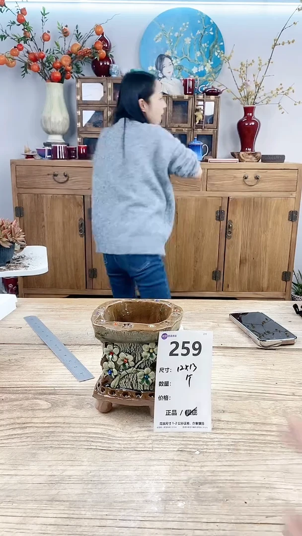 【闪购商品】红陶259