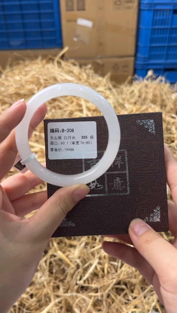未镶嵌手镯石英质玉B-208