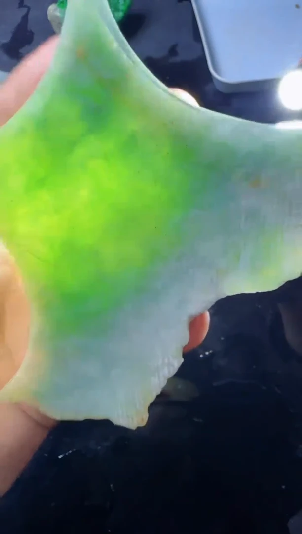 【闪购商品】翡翠颈饰未镶嵌037天然A货翡翠