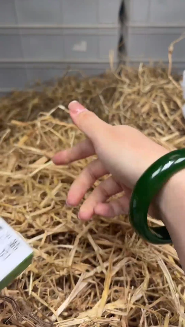 未镶嵌手镯石英质玉T1253